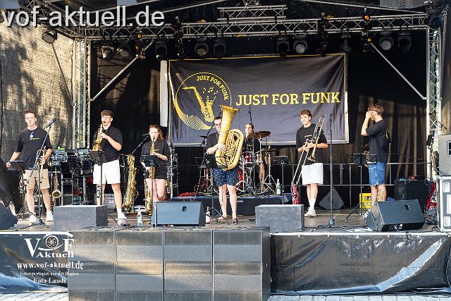 A-Fr_Foto Laudi_Donau in Flammen-6.jpg